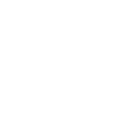100% Ownership